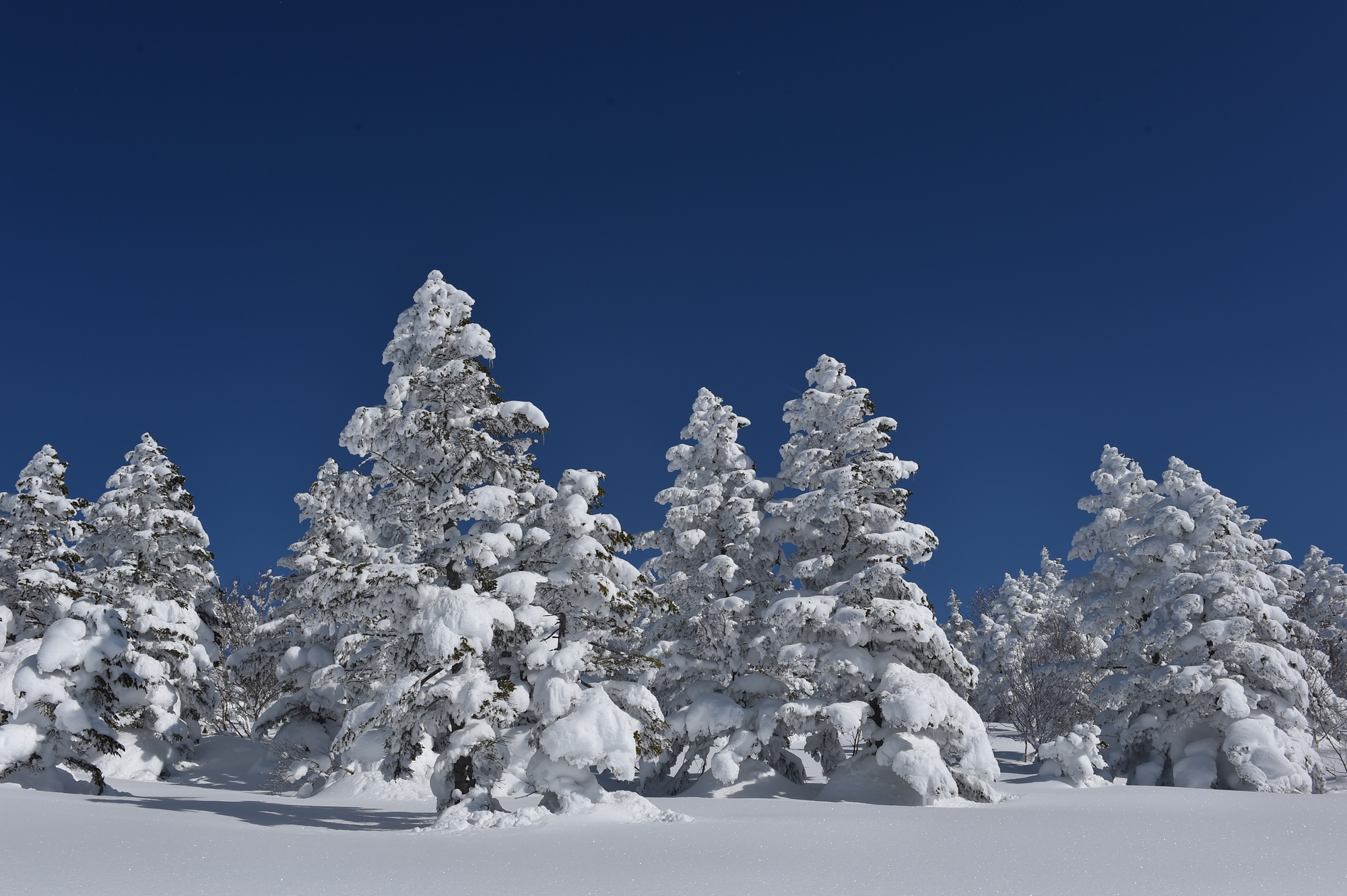 SUGADAIRA SNOW RESORT