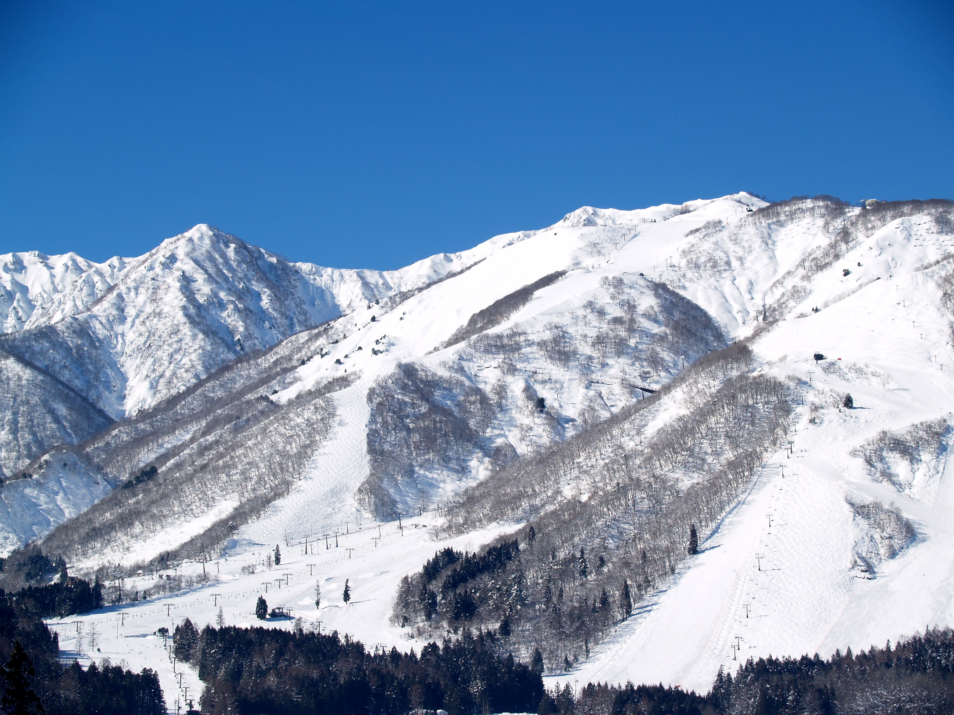 エイブル白馬五竜0